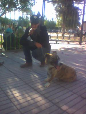 voilla 